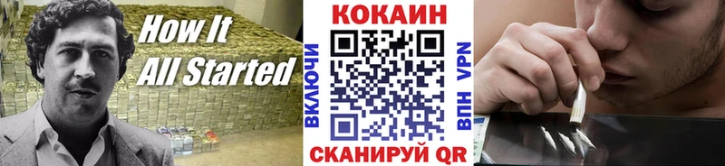 КОКАИН Fish Scale  Купить  Светлоград 