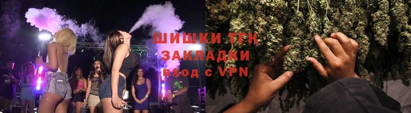 spice Ельня