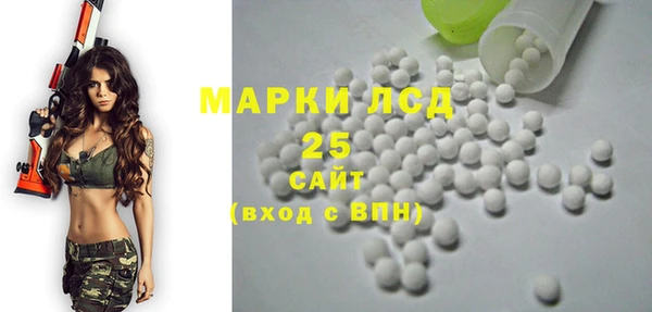 spice Ельня