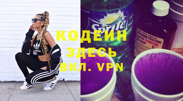 spice Ельня