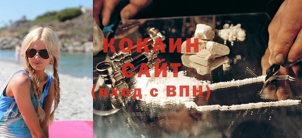 spice Ельня