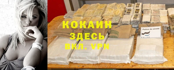 дживик Елабуга