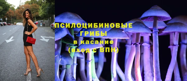 spice Ельня