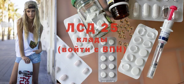 spice Ельня
