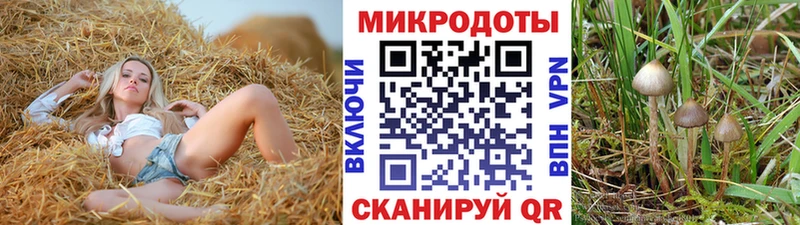 Купить где  Светлоград  Галлюциногенные грибы Psilocybine cubensis 